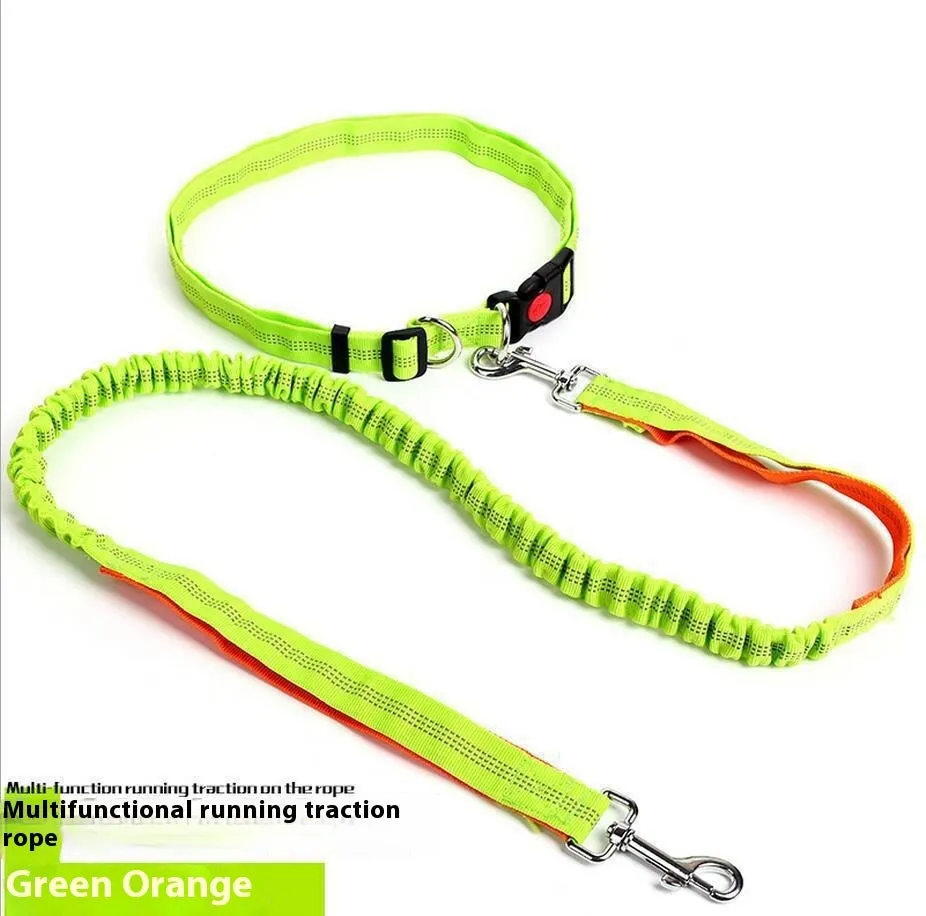 2.5cm wide elastic dog leash with reflective filament for night walking in blue and red colour combination
