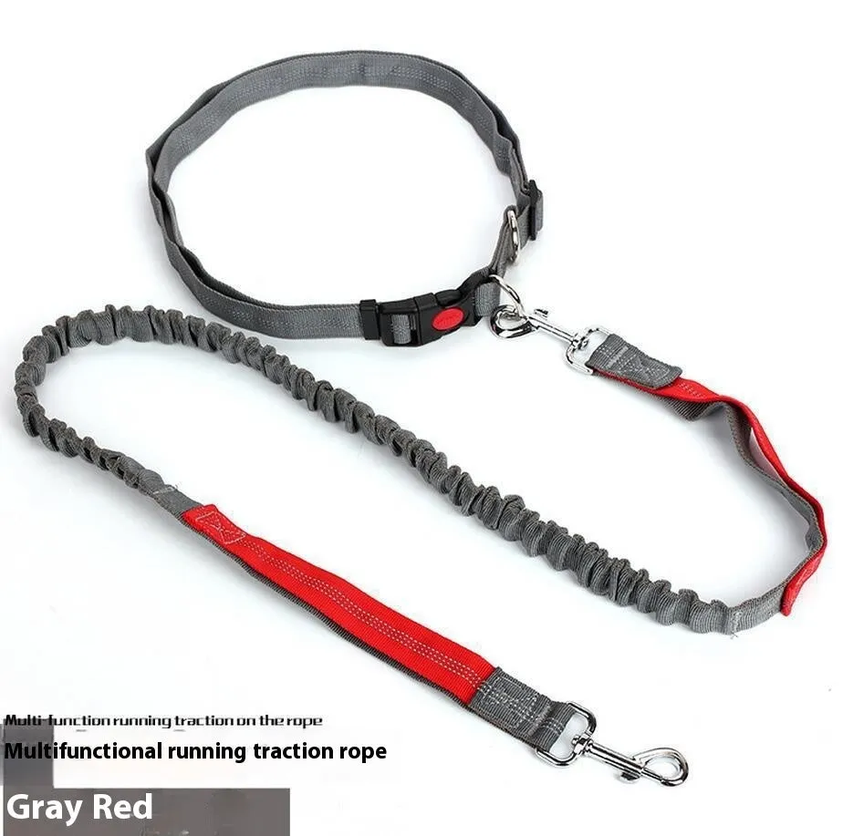 2.5cm wide elastic dog leash with reflective filament for night walking in blue and red colour combination