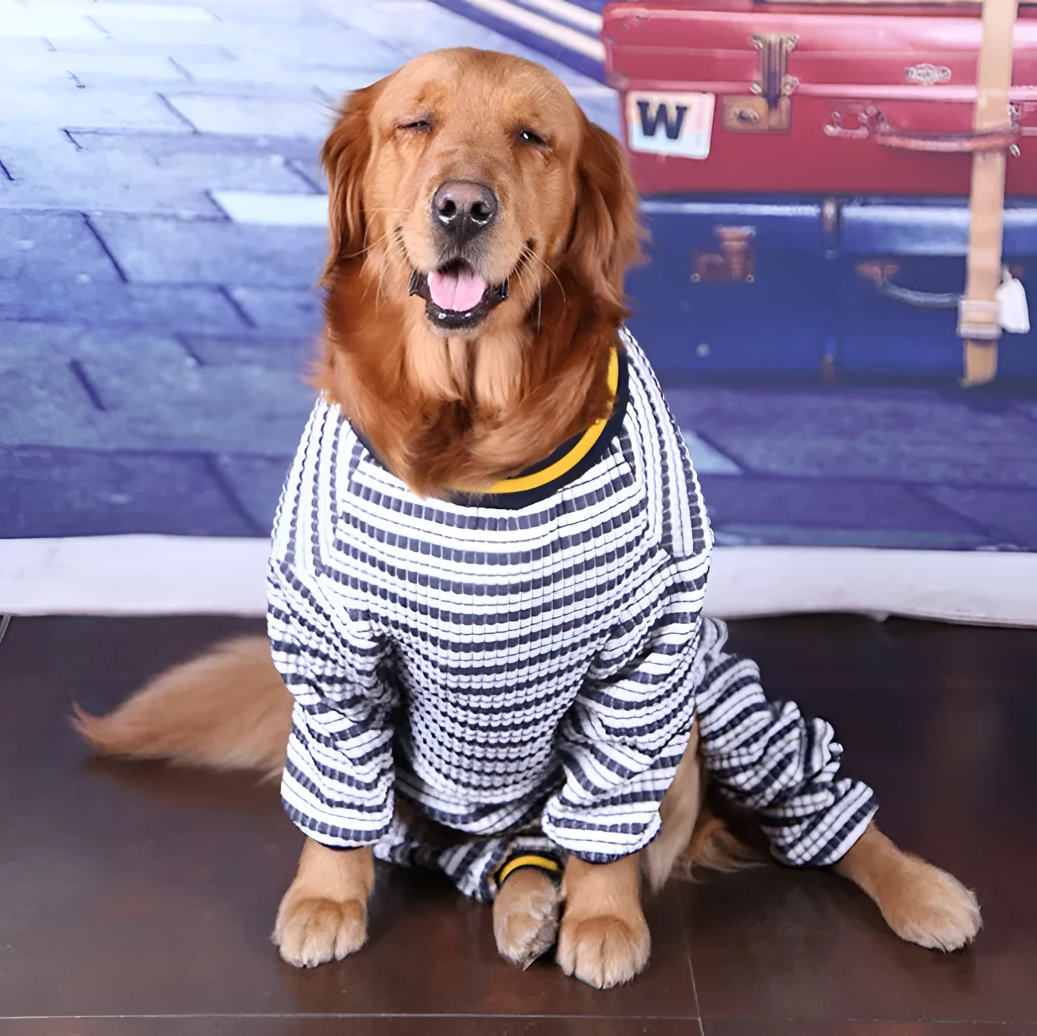 Blue cotton long sleeve bottoming shirt for medium and large dogs on a model
