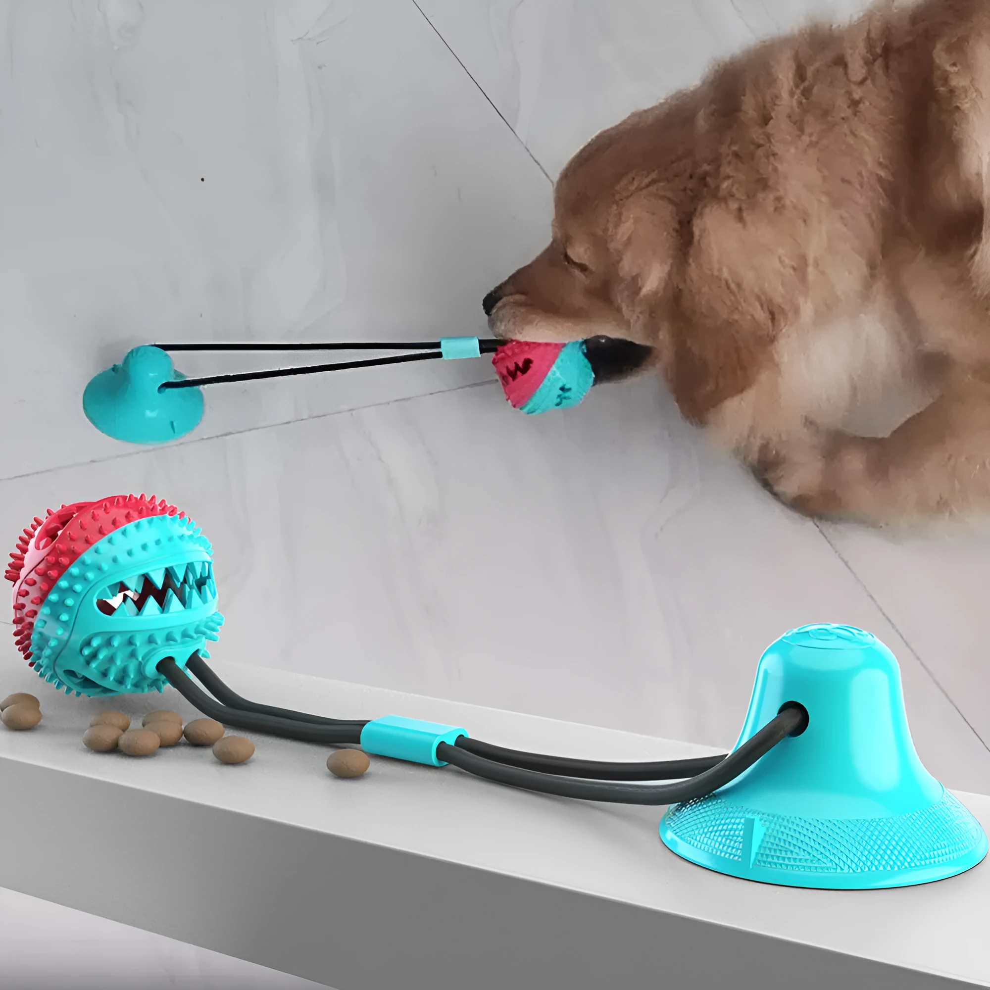 Dog sucker drawstring ball toy in TPR material blue and red white colours on white background
