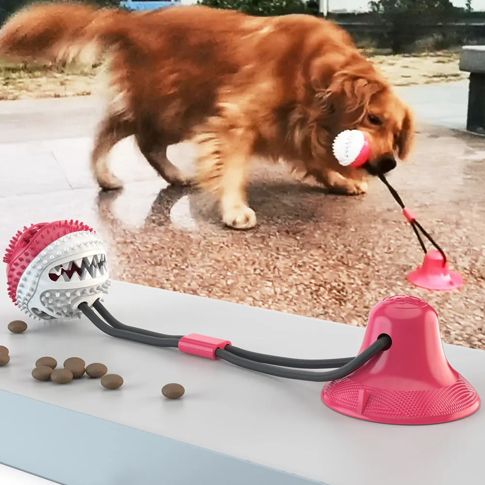 Dog sucker drawstring ball toy in TPR material blue and red white colours on white background