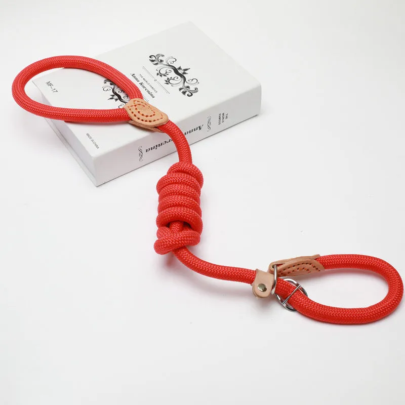Nylon slip lead training dog leash in black with rope thickness options from 0.8cm to 1.6cm