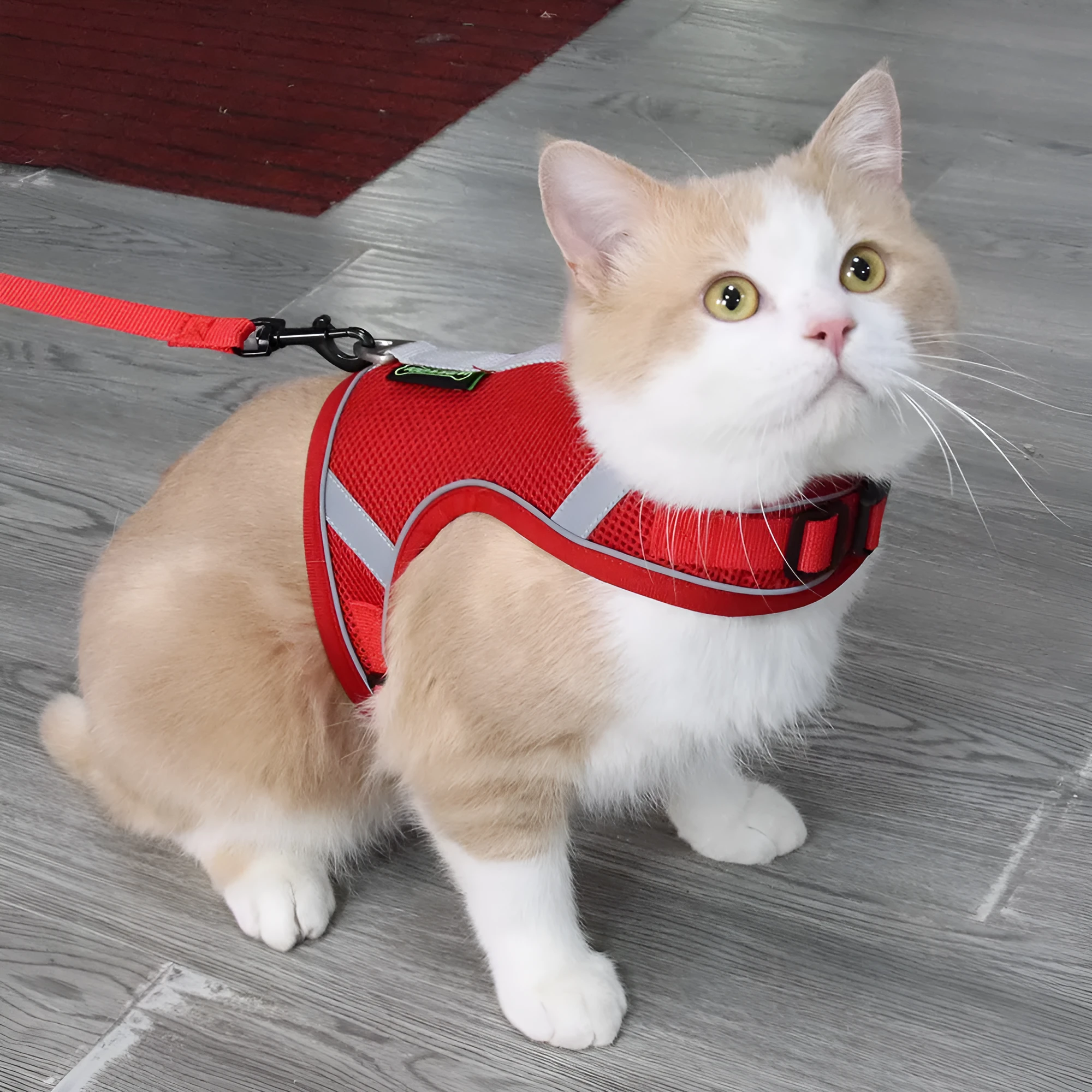 Adjustable reflective dog breast strap harness in solid colour, polyester fibre mesh, with rope handle