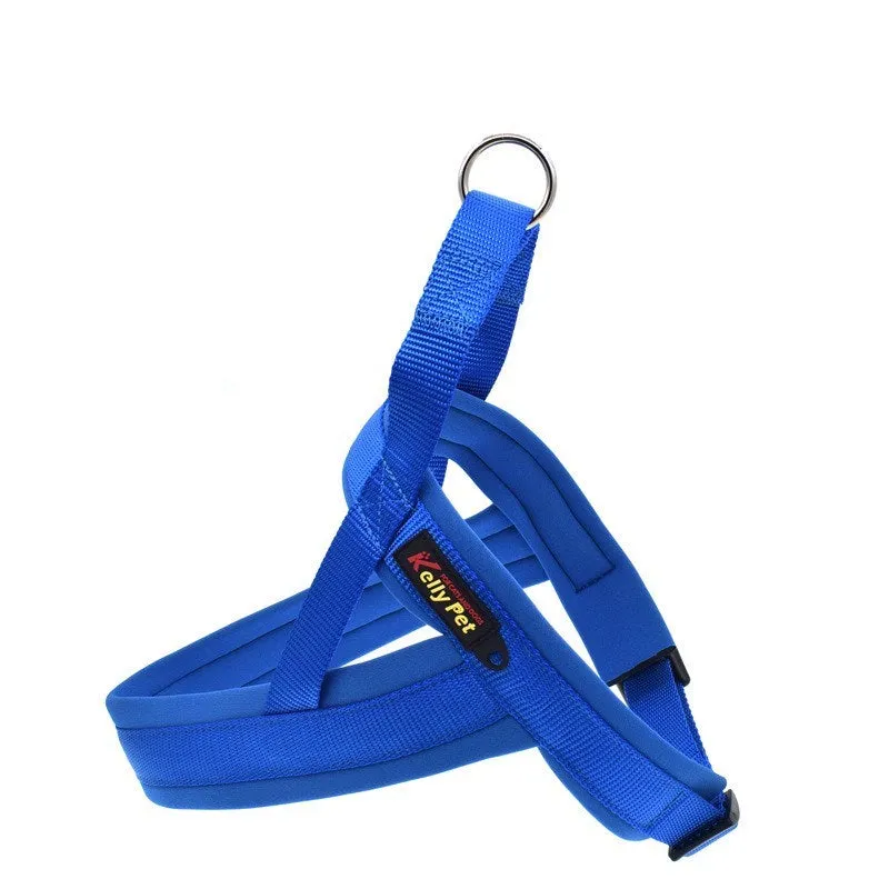 Nylon dog chest harness in blue with leash, chest strap design for walking