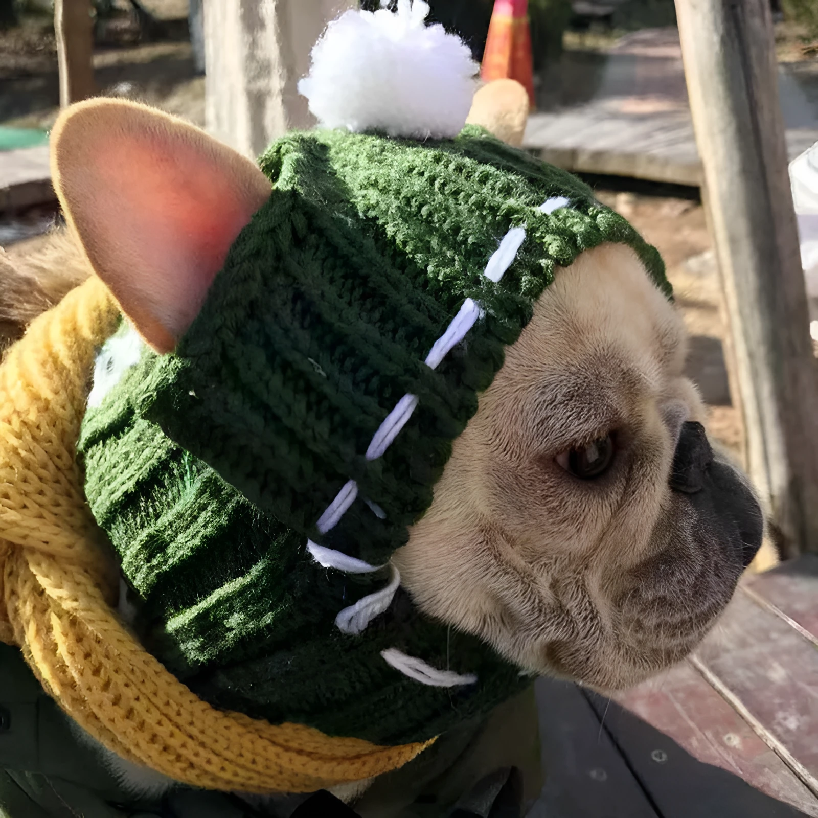 Grey 100% cotton knitted winter hat for small female dogs