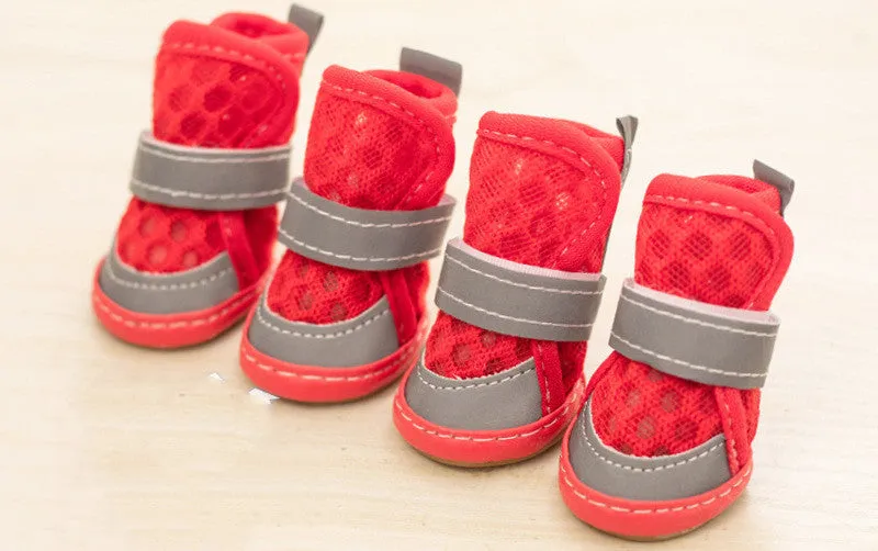 Set of four small dog rubber shoes in blue, red, orange, green for non-slip paw protection