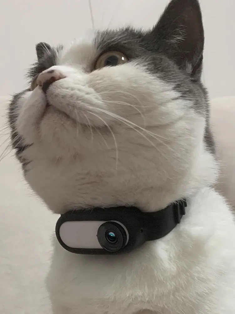 Black silicone pet collar camera for wireless recording on cats and dogs, USB charging.