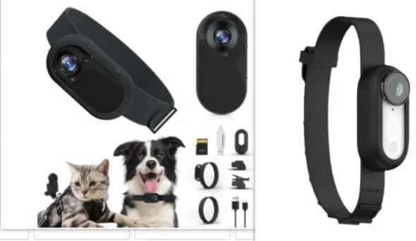 Black silicone pet collar camera for wireless recording on cats and dogs, USB charging.
