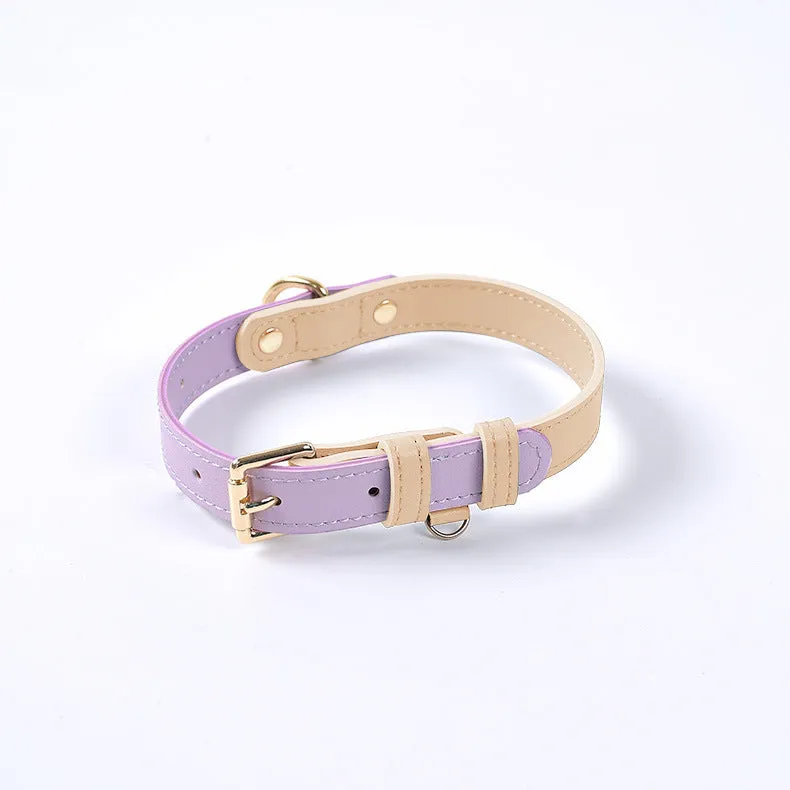 Leather dog leash and collar set with metal hardware in blue, green, pink, and purple options
