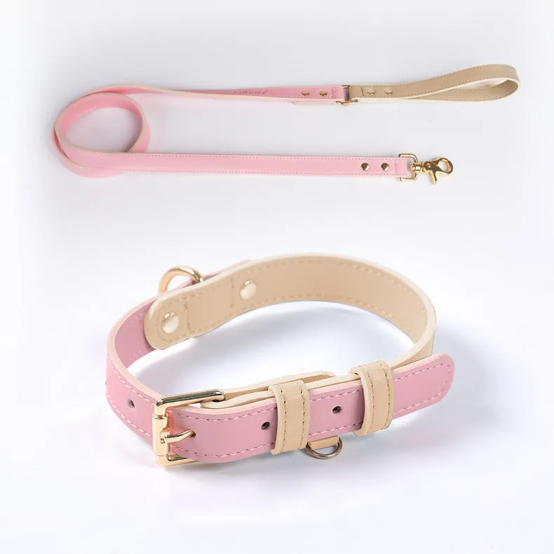 Leather dog leash and collar set with metal hardware in blue, green, pink, and purple options