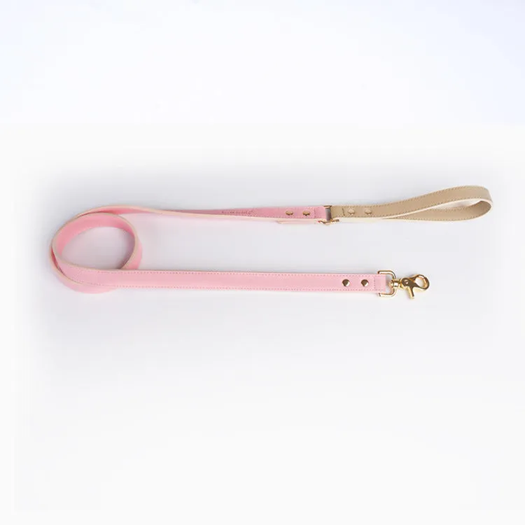 Leather dog leash and collar set with metal hardware in blue, green, pink, and purple options