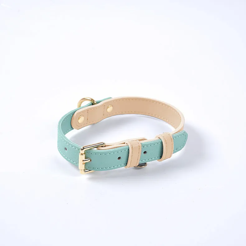 Leather dog leash and collar set with metal hardware in blue, green, pink, and purple options