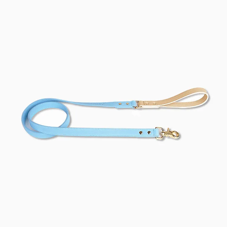 Leather dog leash and collar set with metal hardware in blue, green, pink, and purple options