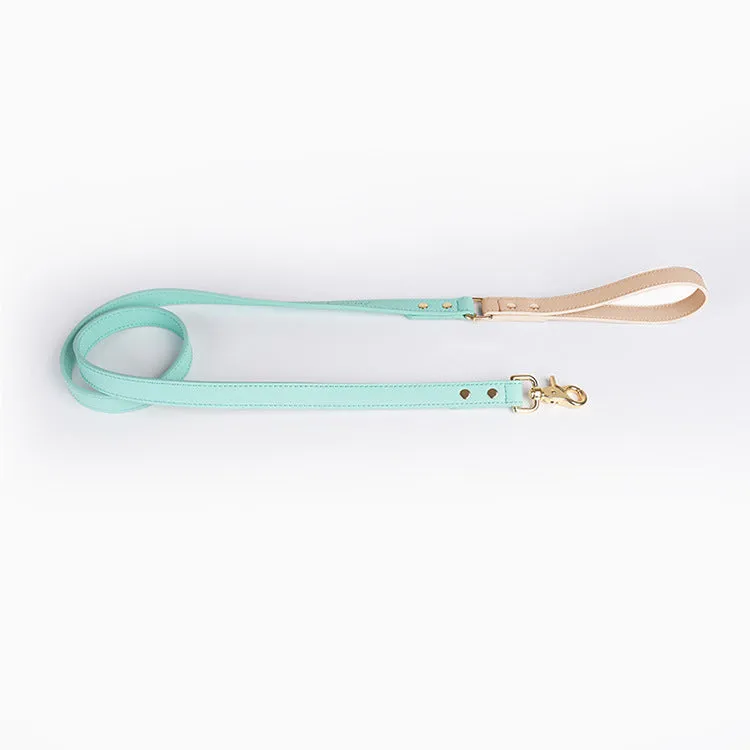 Leather dog leash and collar set with metal hardware in blue, green, pink, and purple options