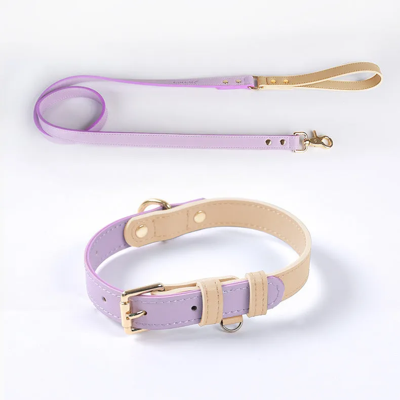 Leather dog leash and collar set with metal hardware in blue, green, pink, and purple options