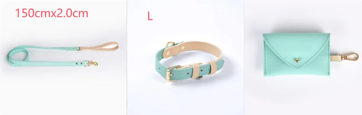 Leather dog leash and collar set with metal hardware in blue, green, pink, and purple options