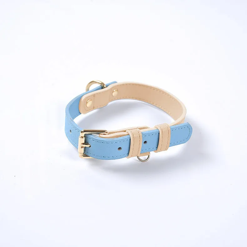 Leather dog leash and collar set with metal hardware in blue, green, pink, and purple options