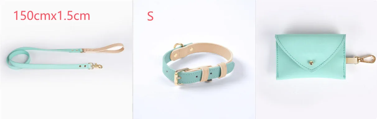 Leather dog leash and collar set with metal hardware in blue, green, pink, and purple options