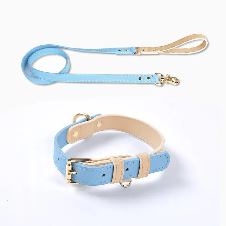 Leather dog leash and collar set with metal hardware in blue, green, pink, and purple options
