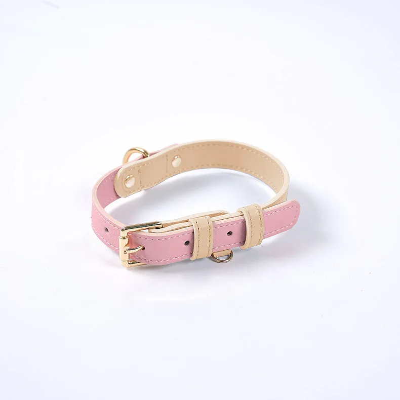 Leather dog leash and collar set with metal hardware in blue, green, pink, and purple options