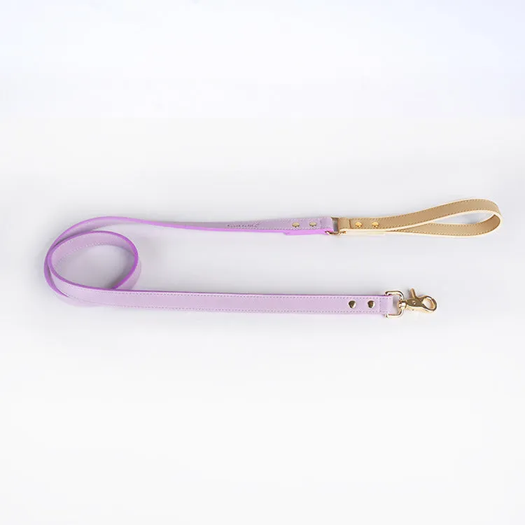 Leather dog leash and collar set with metal hardware in blue, green, pink, and purple options