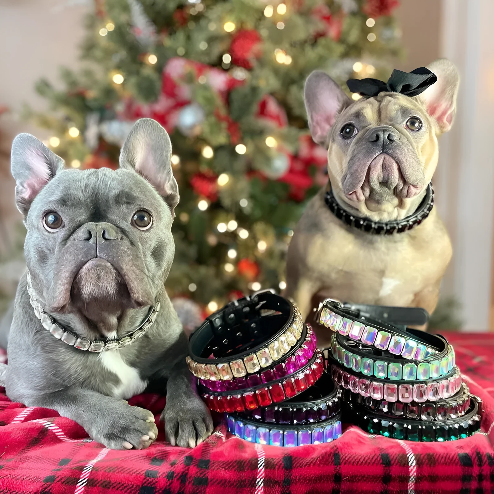 PU pet collar in multiple colours with size options XS to XL for dogs and cats