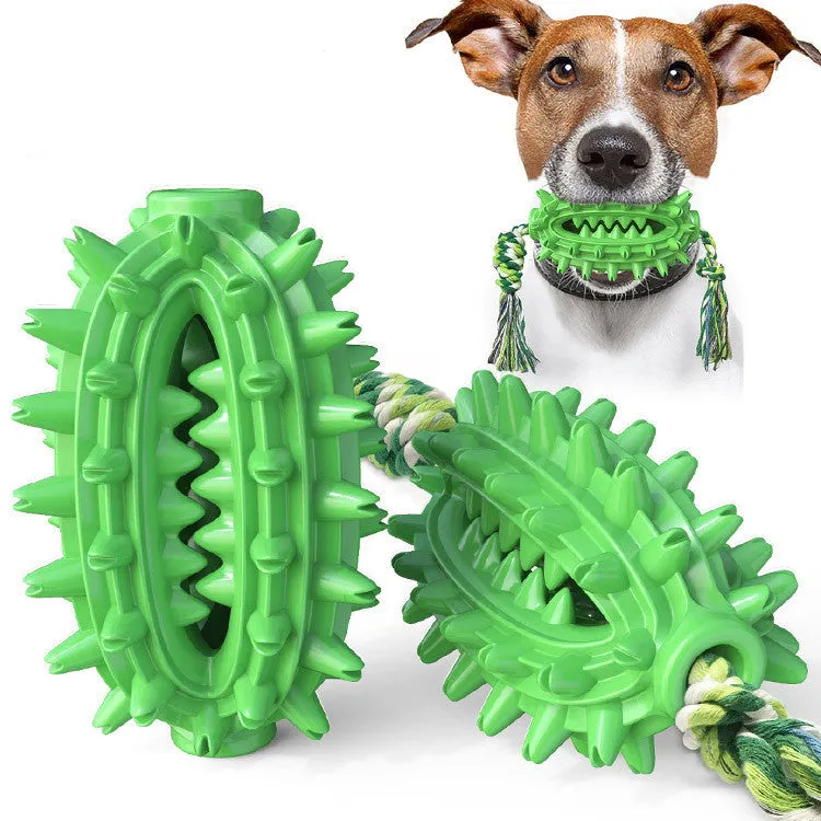 TPR cactus dog chew toy with rope in green, lake blue and yellow colours