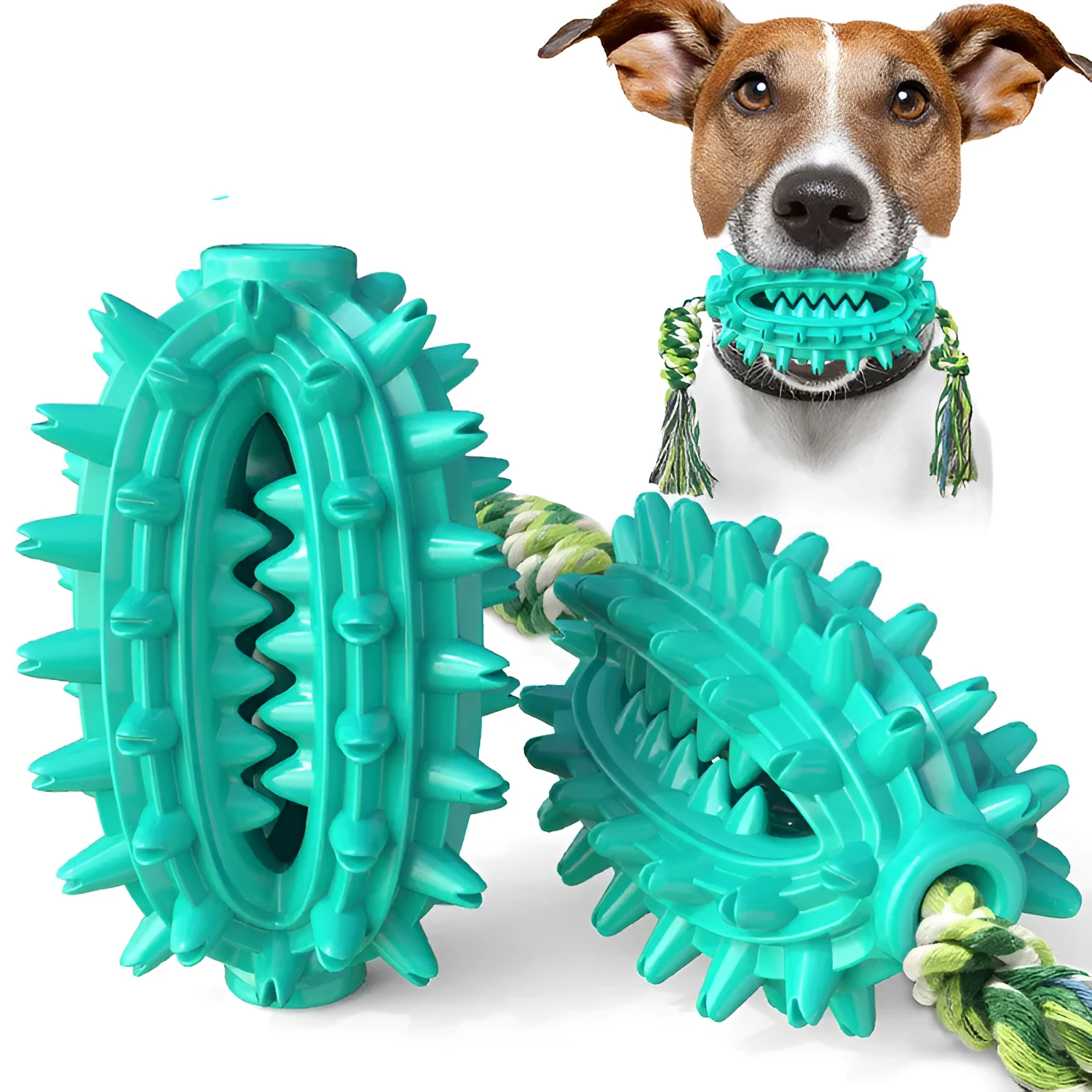 TPR cactus dog chew toy with rope in green, lake blue and yellow colours