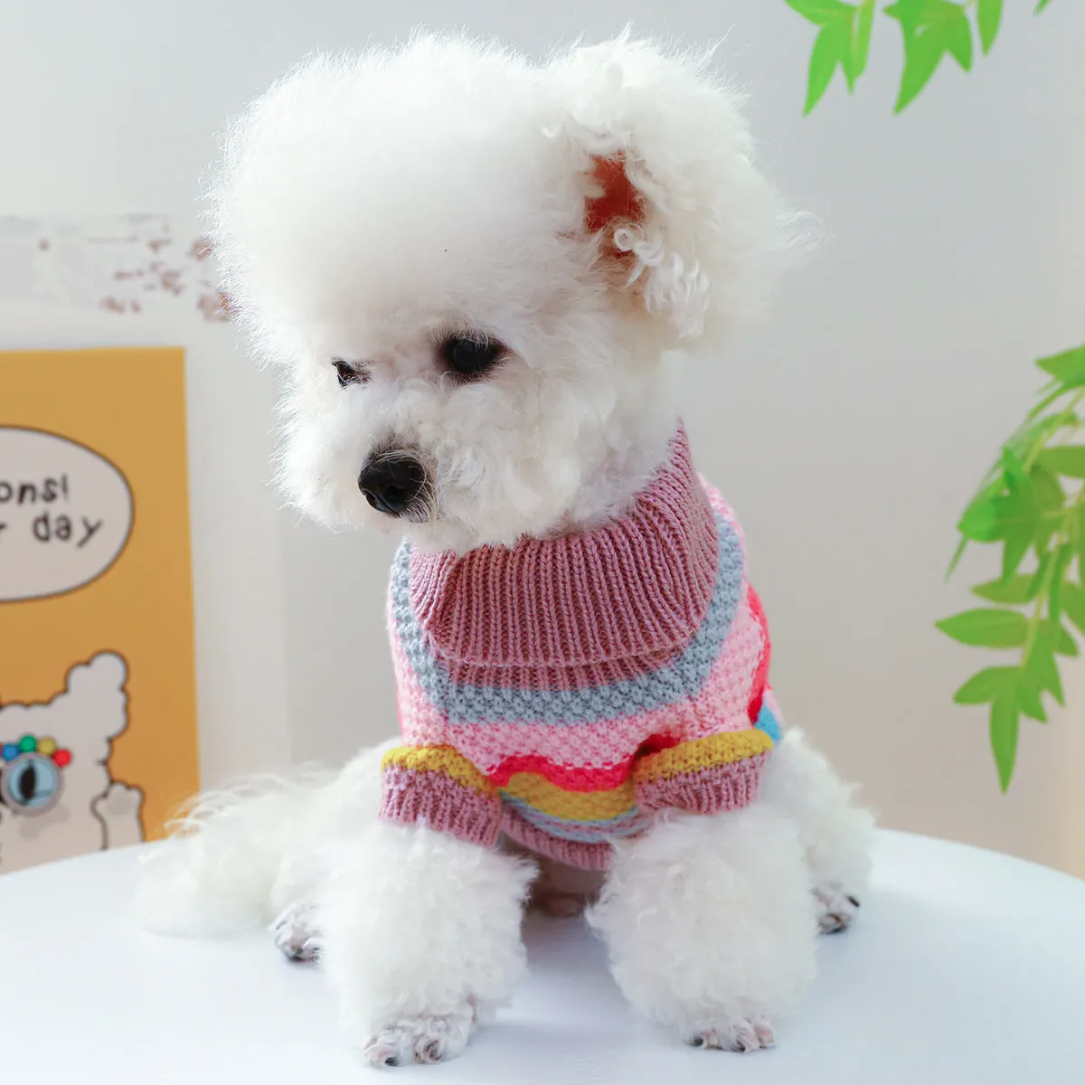 Colourful striped acrylic pet sweater for dogs and cats, five sizes XS to XL
