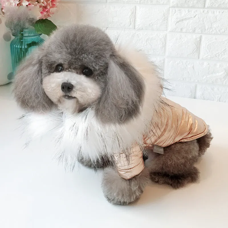 Thicken dog clothes in bright gold with large fur collar, cotton-padded winter coat for dogs