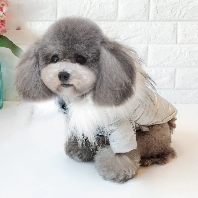 Thicken dog clothes in bright gold with large fur collar, cotton-padded winter coat for dogs