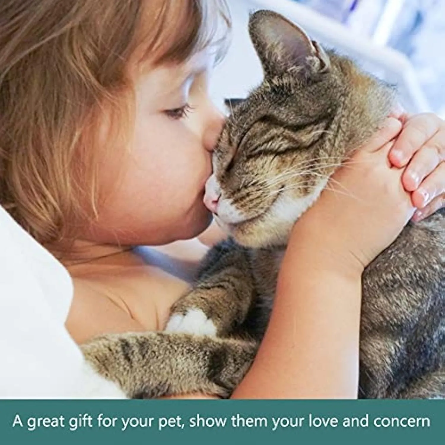 Green pet slow feeder bowl with stainless steel insert and detachable water tray on floor