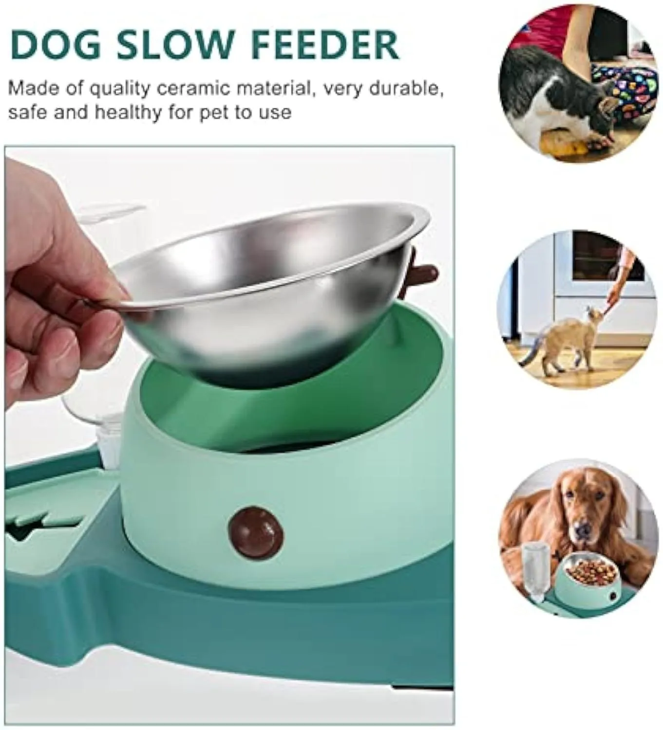 Green pet slow feeder bowl with stainless steel insert and detachable water tray on floor