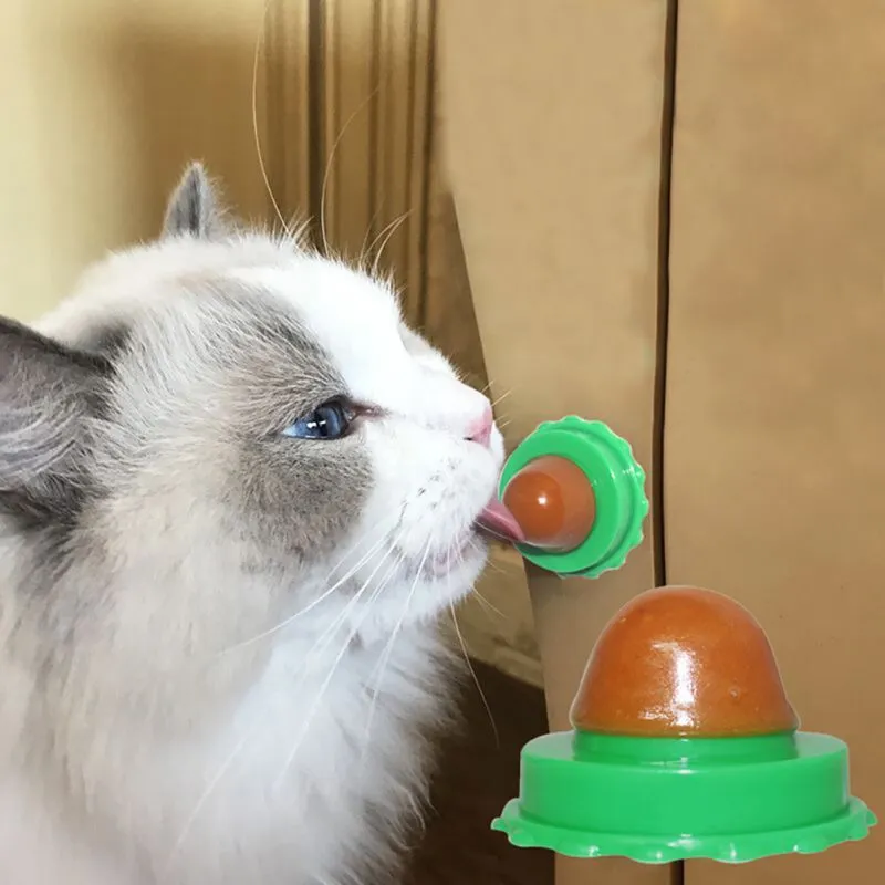 Green and blue pet cat sugar energy ball with catnip and gold fish gelatin on a floor