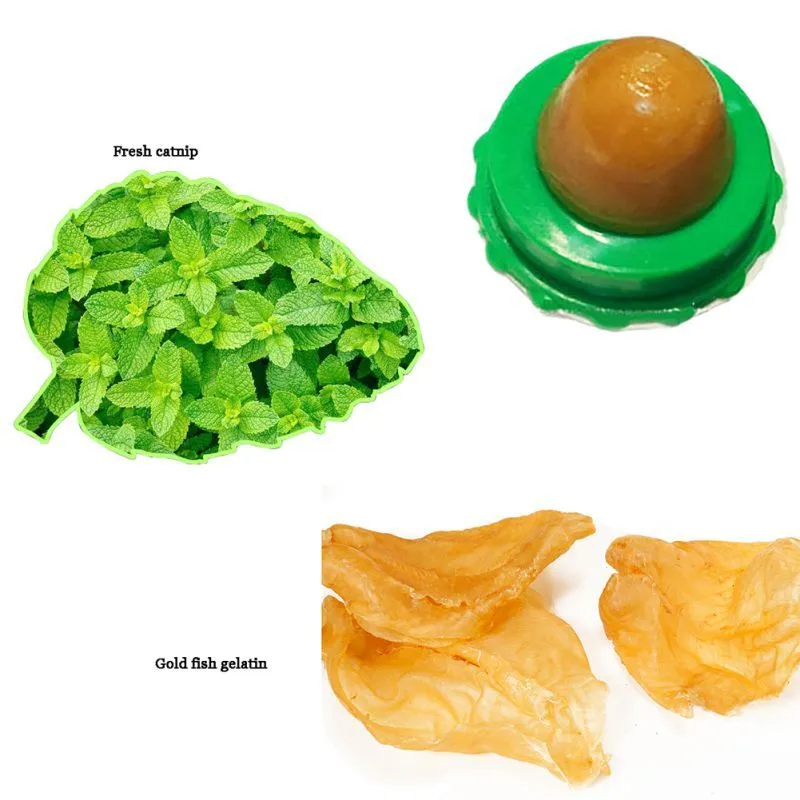 Green and blue pet cat sugar energy ball with catnip and gold fish gelatin on a floor