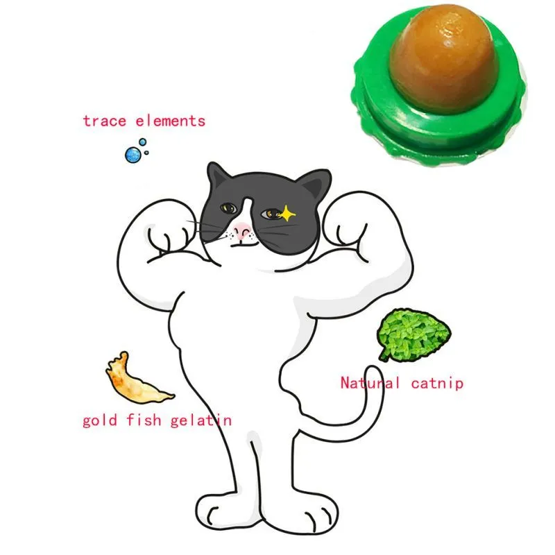 Green and blue pet cat sugar energy ball with catnip and gold fish gelatin on a floor
