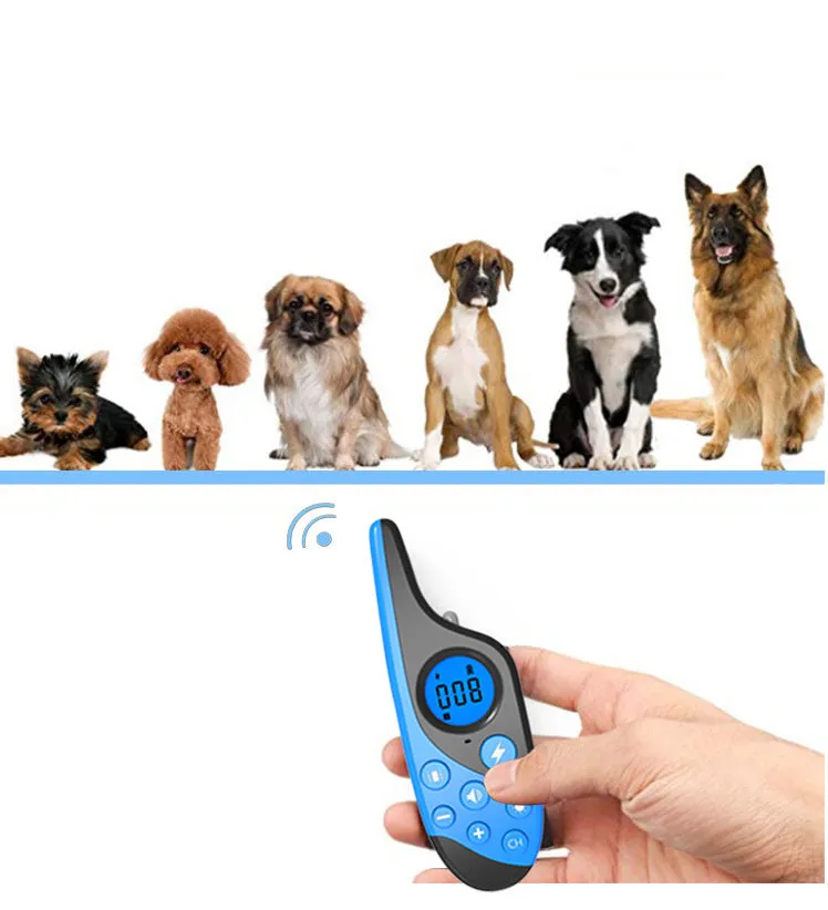 Blue rechargeable remote control dog training collar with adjustable collar and remote control on a white background