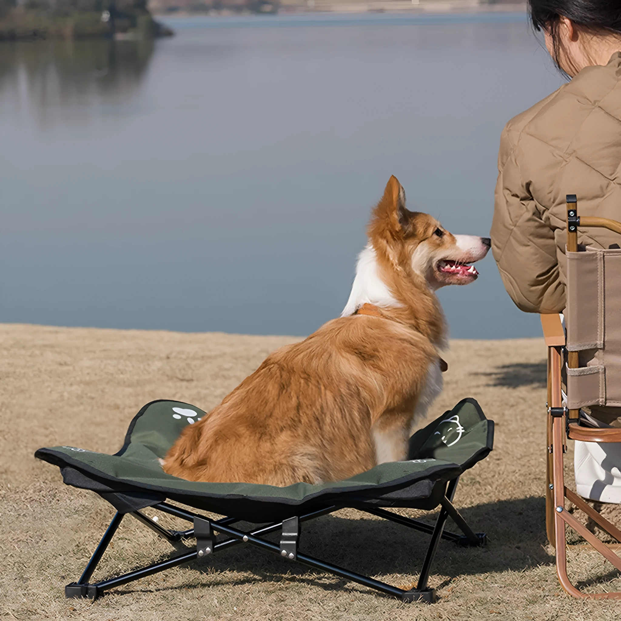 Outdoor pet folding bed with aluminium alloy X-frame and black 600D Oxford cloth sleeping surface