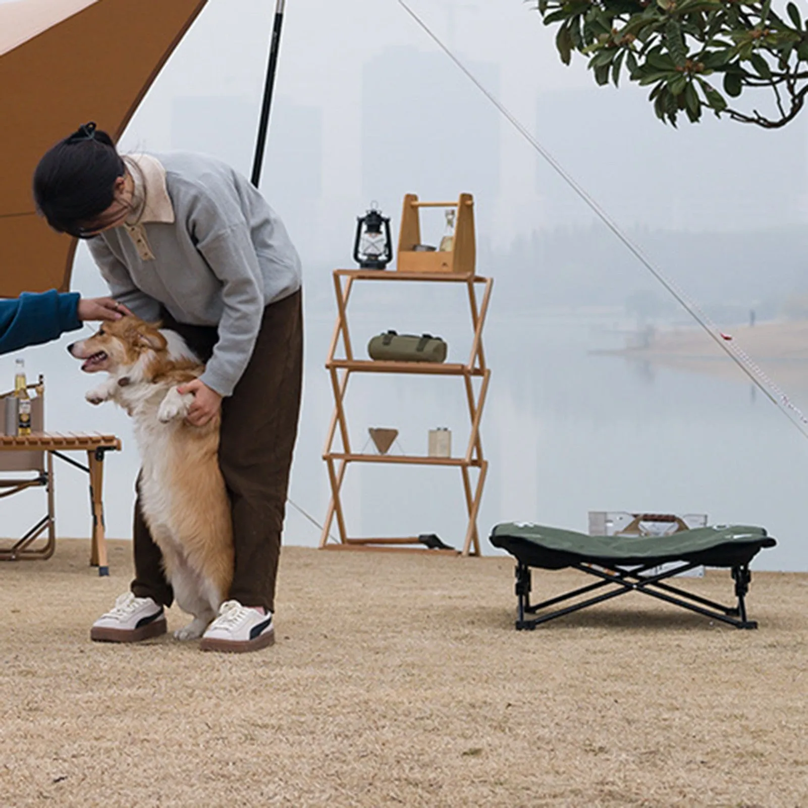 Outdoor pet folding bed with aluminium alloy X-frame and black 600D Oxford cloth sleeping surface