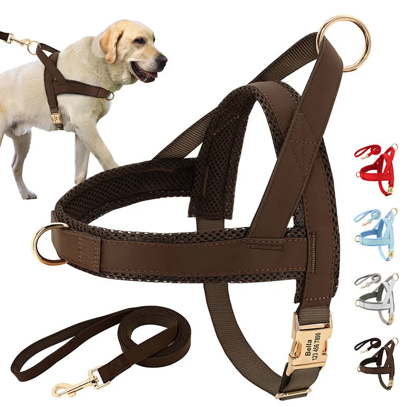 Lettering large dog vest chest harness in black, breathable and adjustable with reinforced stitching