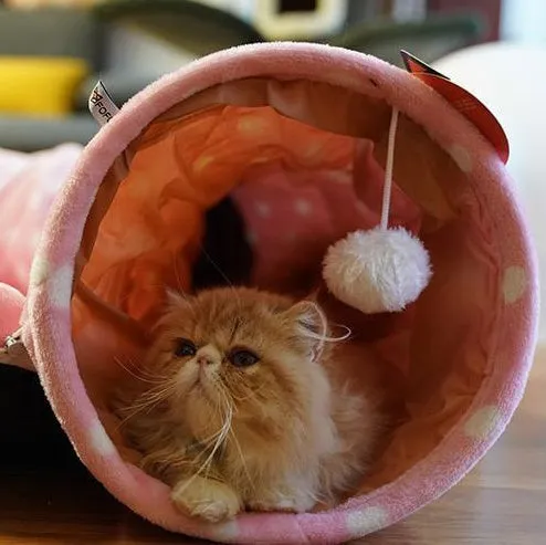 Rolling Dragon 25x25x9cm cloth cat litter pad tunnel sleeping bag rest toy in pink colour