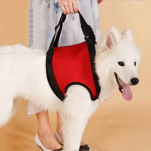 Pet safety belt in red high grade diving material with adjustable webbing for foreleg support