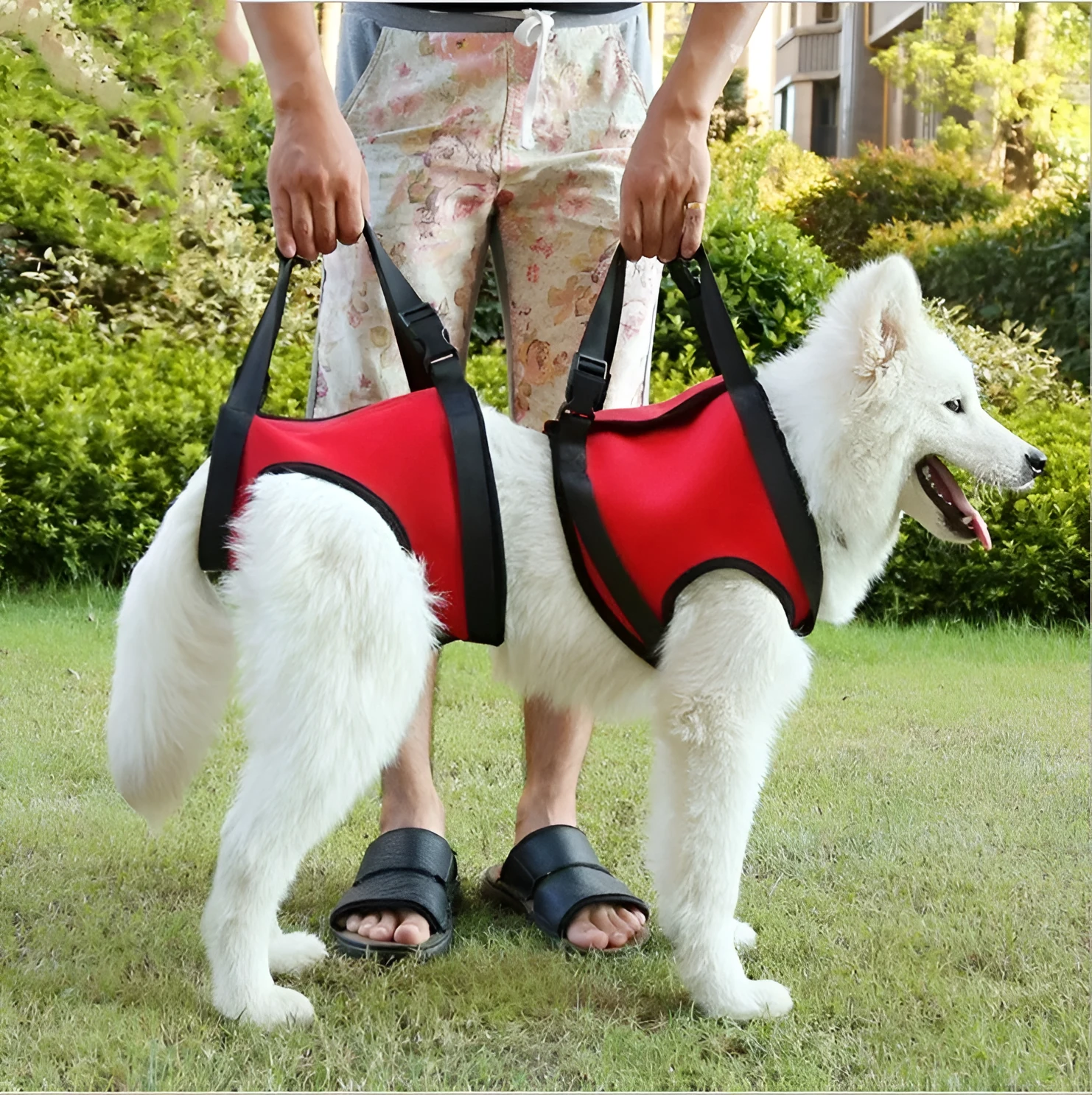 Pet safety belt in red high grade diving material with adjustable webbing for foreleg support
