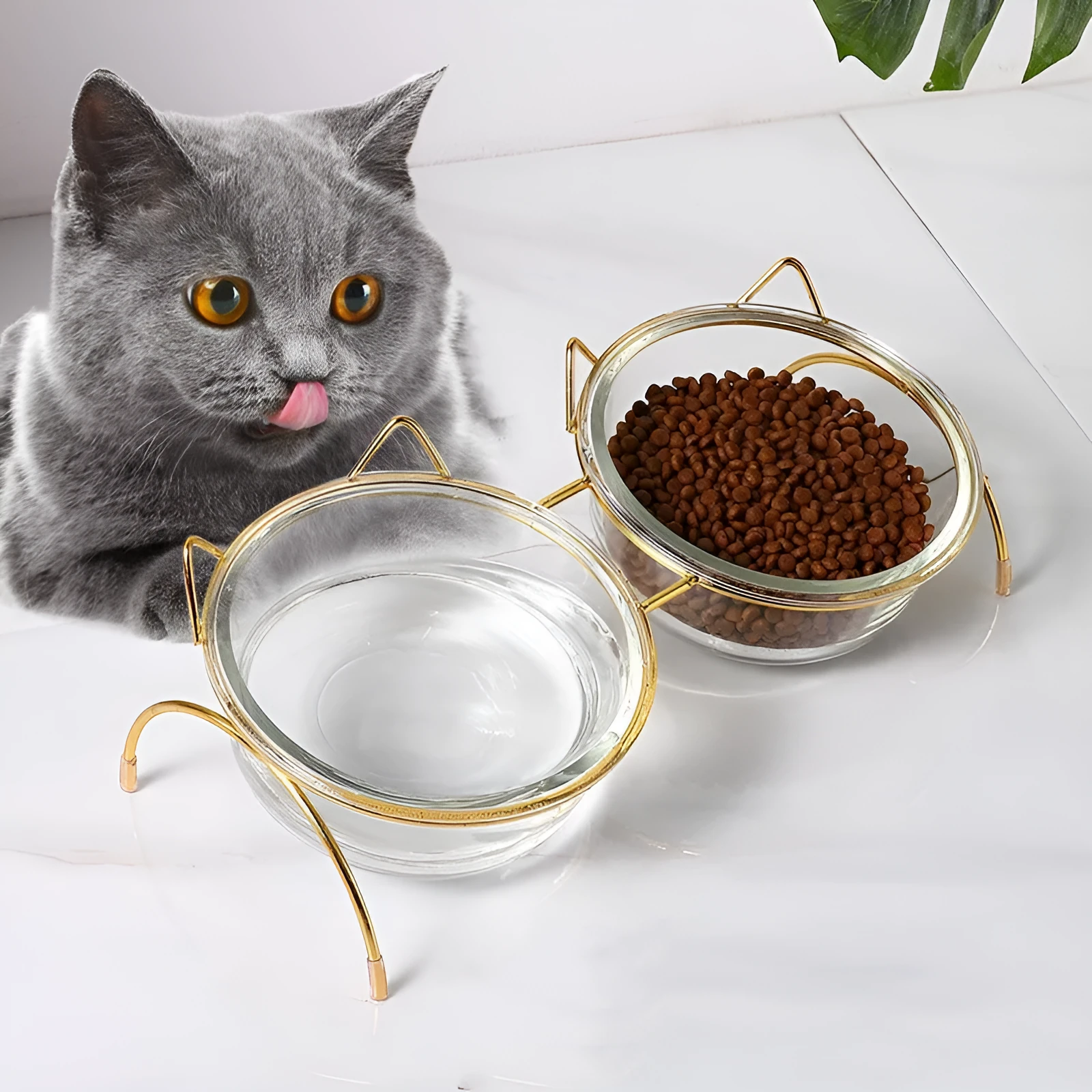 Glass cat bowl with iron rack, double and single options for cats and small dogs
