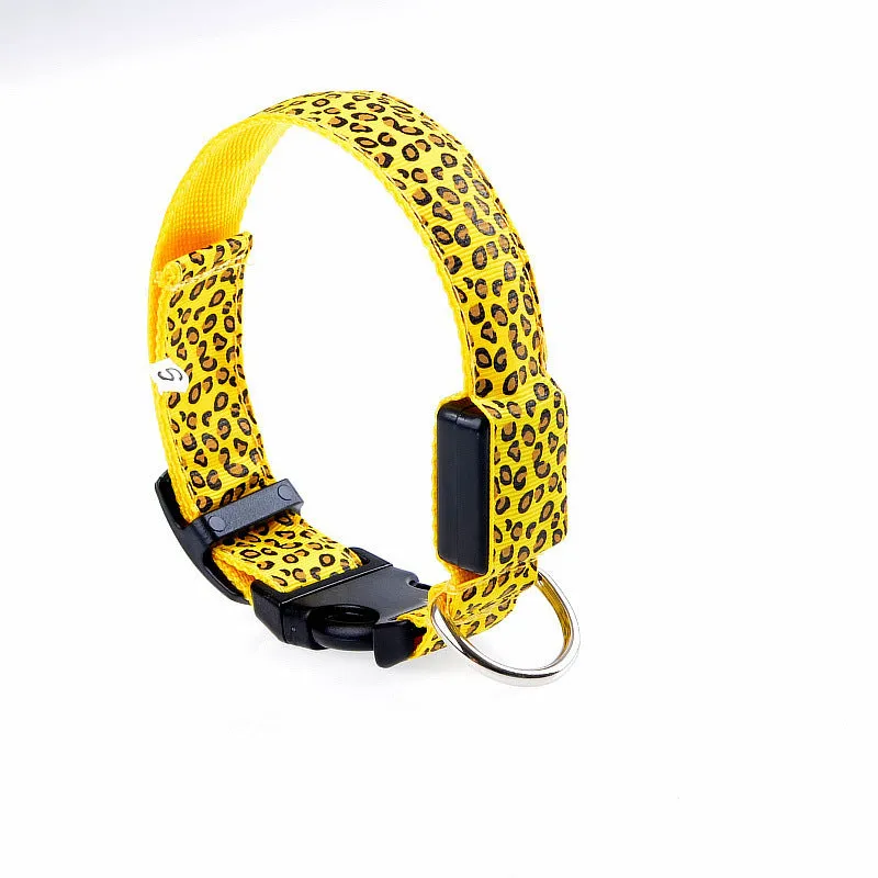 Rechargeable LED dog collar made of nylon webbing with USB charging available in multiple colours and sizes for small to large dogs