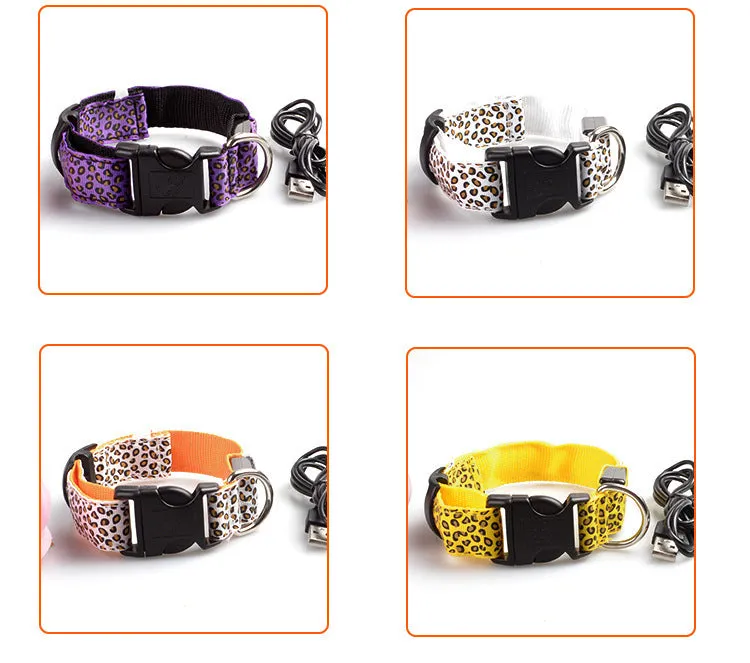 Rechargeable LED dog collar made of nylon webbing with USB charging available in multiple colours and sizes for small to large dogs