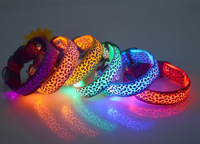 Rechargeable LED dog collar made of nylon webbing with USB charging available in multiple colours and sizes for small to large dogs