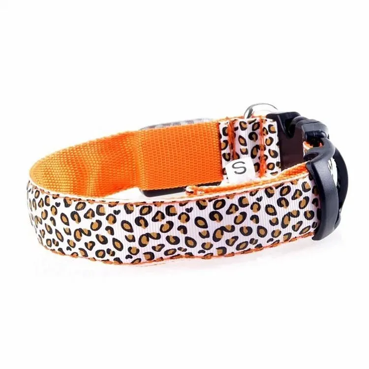 Rechargeable LED dog collar made of nylon webbing with USB charging available in multiple colours and sizes for small to large dogs