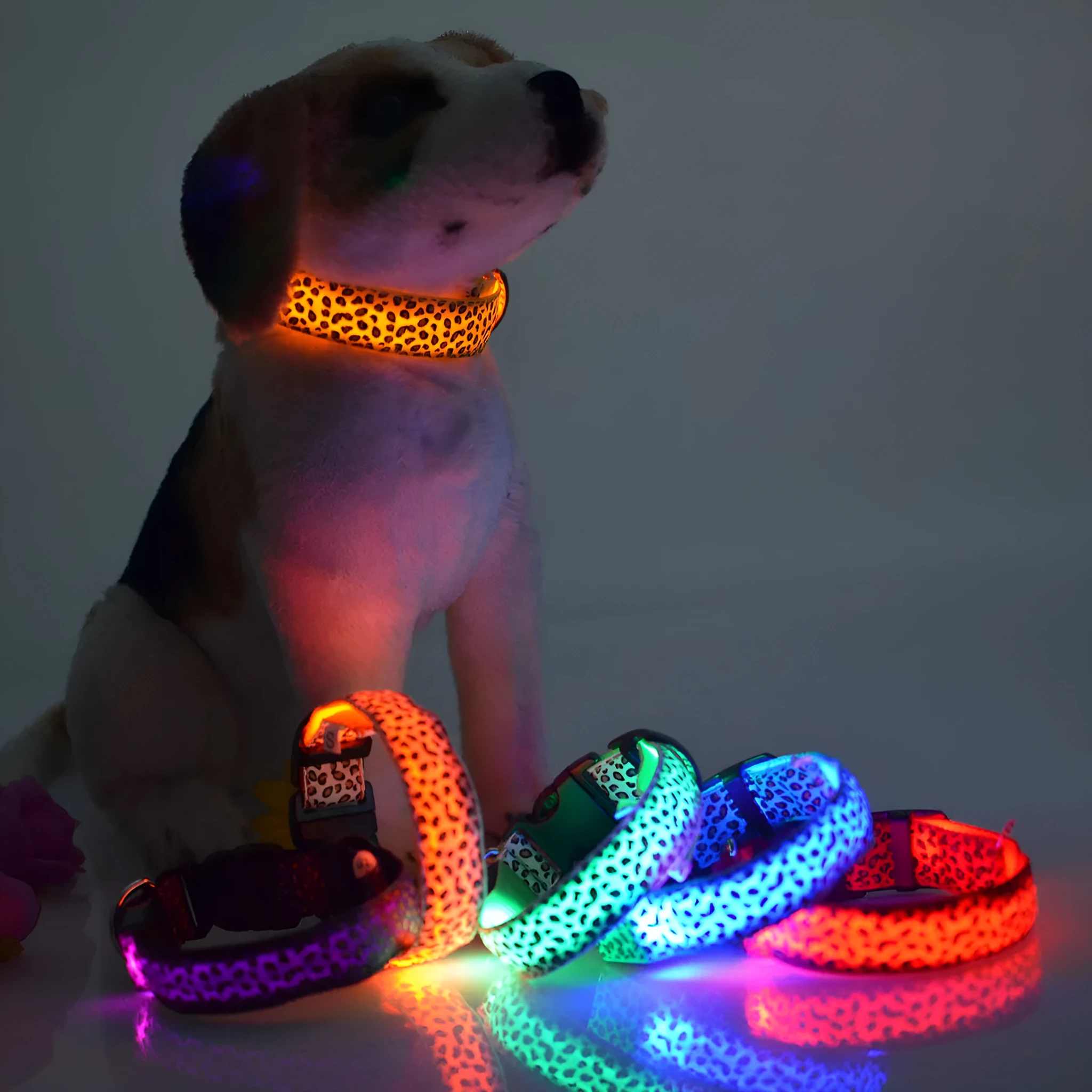 Rechargeable LED dog collar made of nylon webbing with USB charging available in multiple colours and sizes for small to large dogs