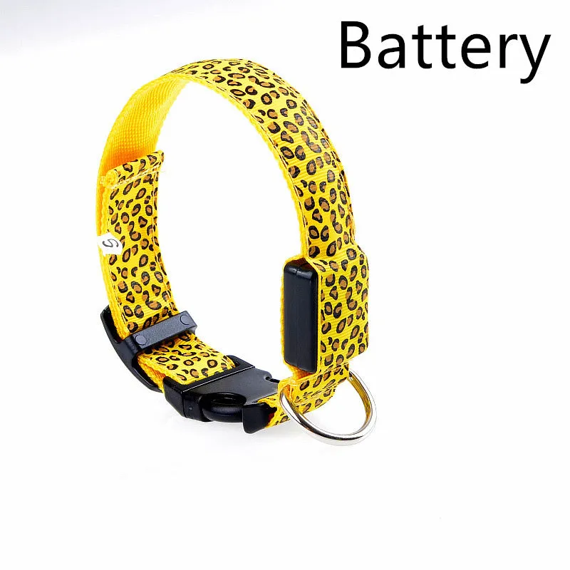 Rechargeable LED dog collar made of nylon webbing with USB charging available in multiple colours and sizes for small to large dogs